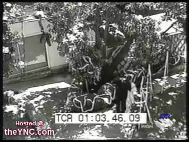 Real Amateur Wedding Bride Kisses Lover - Secur...